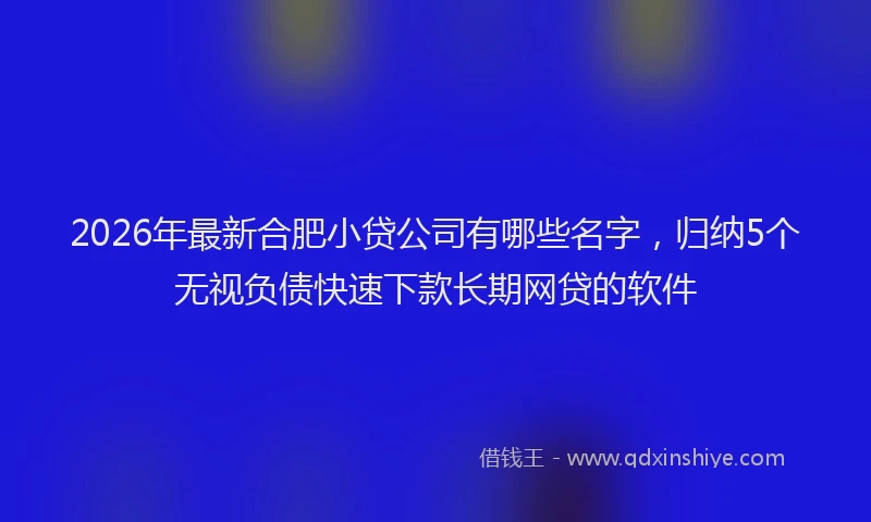 2026年最新合肥小贷公司有哪些名字,归纳5个无视负债快速下款长期网贷的软件