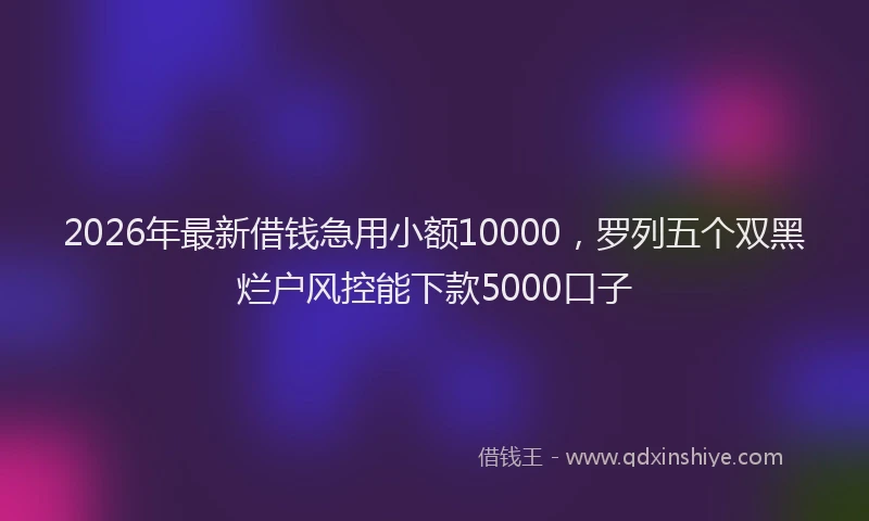 2026年最新借钱急用小额10000，罗列五个双黑烂户风控能下款5000口子