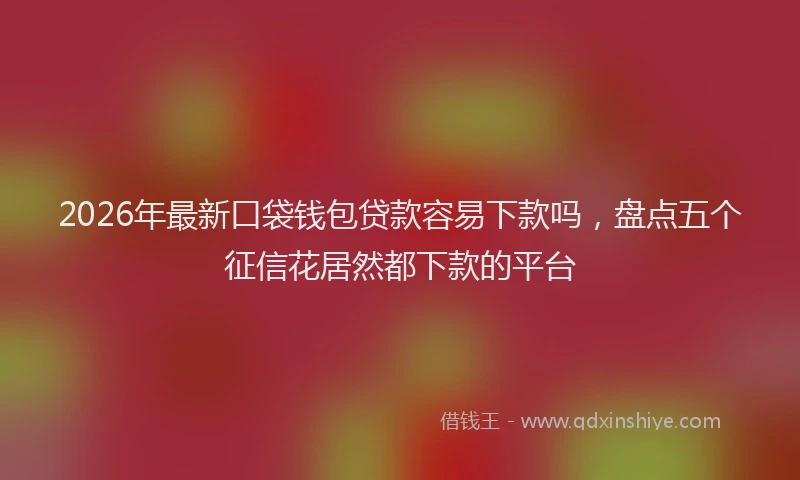 2026年最新口袋钱包贷款容易下款吗，盘点五个征信花居然都下款的平台