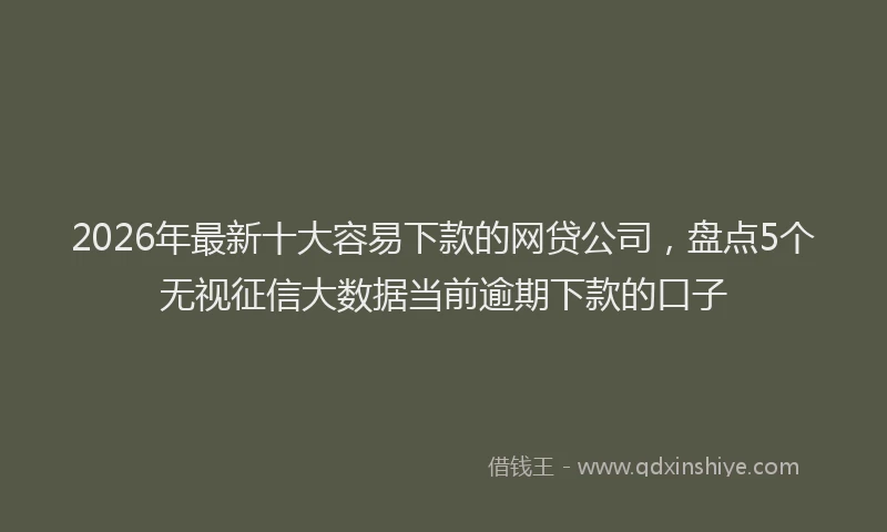 2026年最新十大容易下款的网贷公司,盘点5个无视征信大数据当前逾期下款的口子