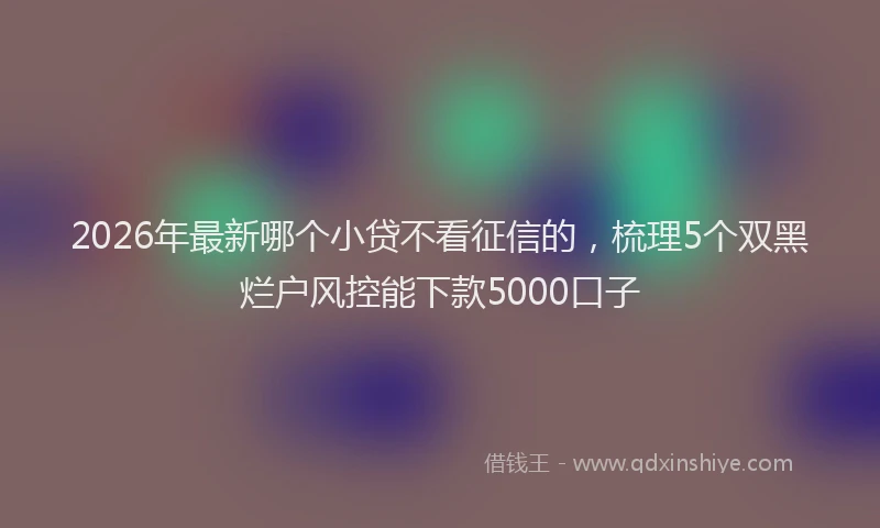 2026年最新哪个小贷不看征信的，梳理5个双黑烂户风控能下款5000口子