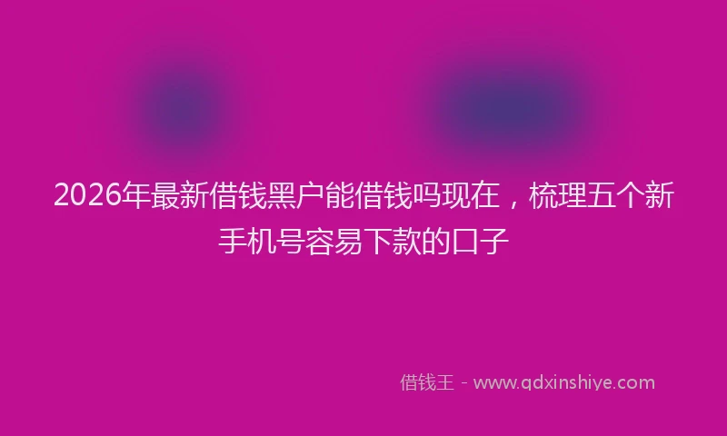 2026年最新借钱黑户能借钱吗现在，梳理五个新手机号容易下款的口子