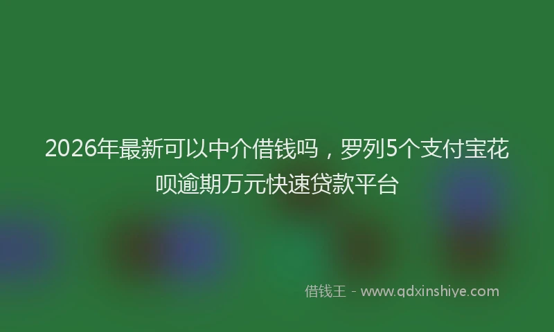 2026年最新可以中介借钱吗，罗列5个支付宝花呗逾期万元快速贷款平台