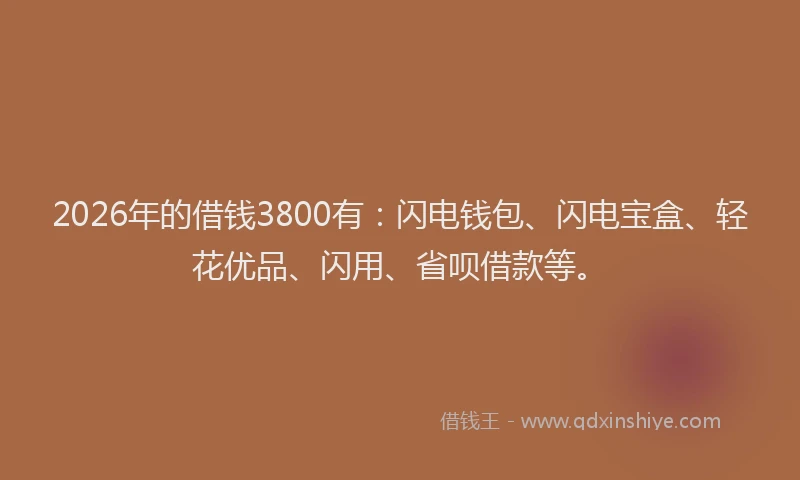 2026年的借钱3800有:闪电钱包、闪电宝盒、轻花优品、闪用、省呗借款等。