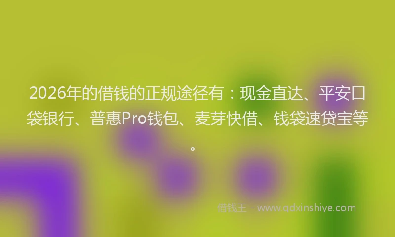 2026年的借钱的正规途径有：现金直达、平安口袋银行、普惠Pro钱包、麦芽快借、钱袋速贷宝等。