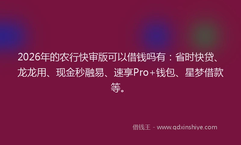 2026年的农行快审版可以借钱吗有：省时快贷、龙龙用、现金秒融易、速享Pro+钱包、星梦借款等。
