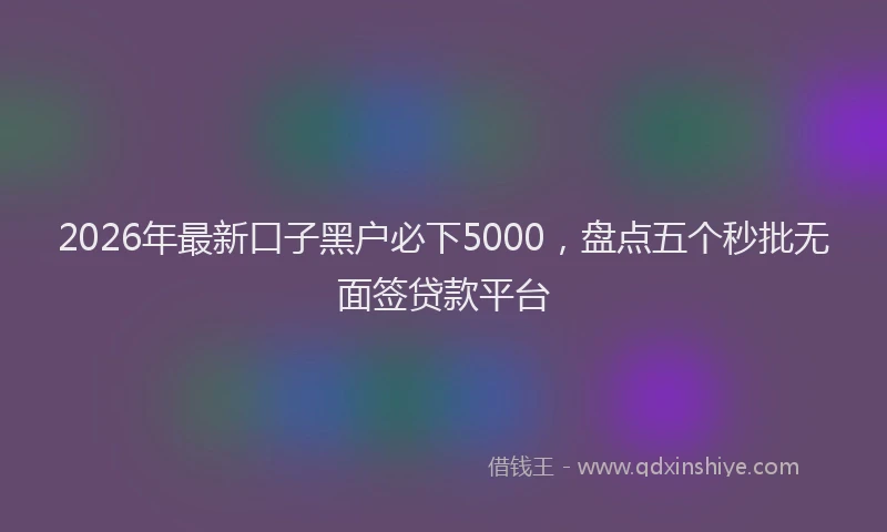 2026年最新口子黑户必下5000，盘点五个秒批无面签贷款平台