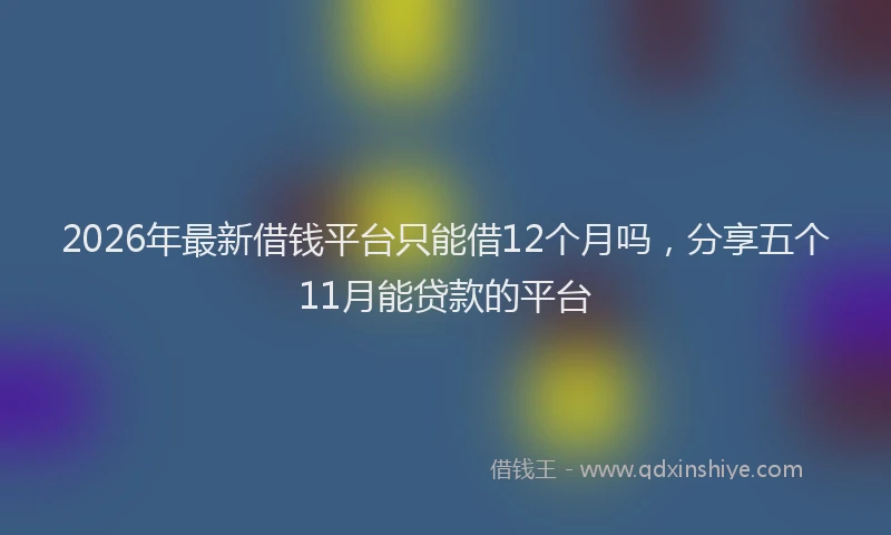 2026年最新借钱平台只能借12个月吗,分享五个11月能贷款的平台