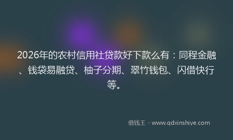 2026年的农村信用社贷款好下款么有：同程金融、钱袋易融贷、柚子分期、翠竹钱包、闪借快行等。