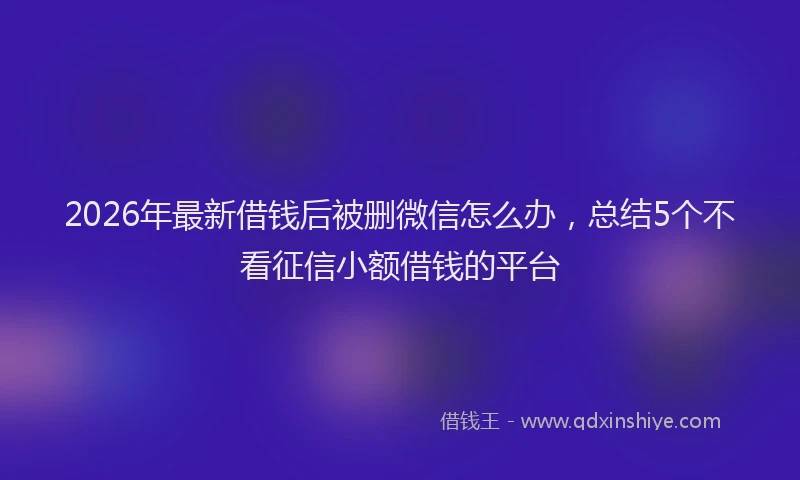2026年最新借钱后被删微信怎么办，总结5个不看征信小额借钱的平台