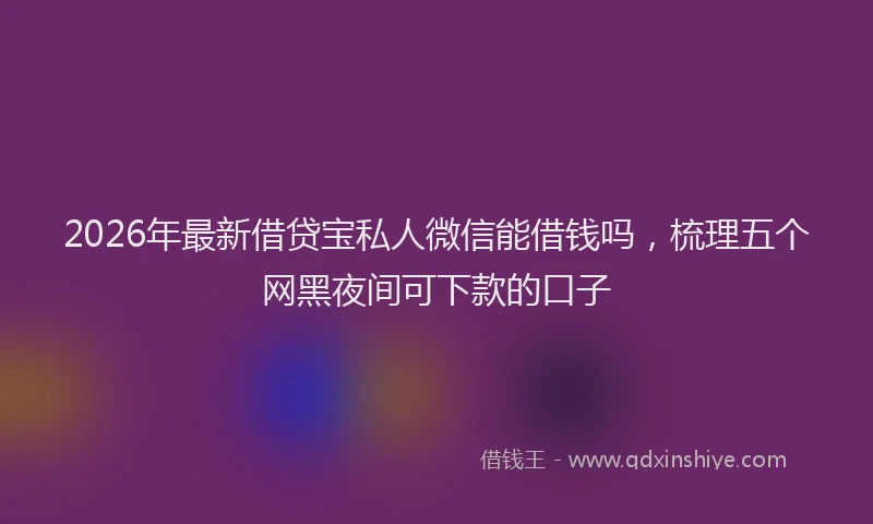 2026年最新借贷宝私人微信能借钱吗，梳理五个网黑夜间可下款的口子