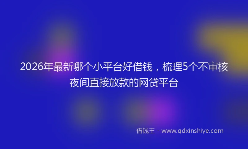 2026年最新哪个小平台好借钱，梳理5个不审核夜间直接放款的网贷平台