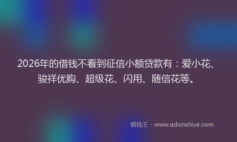2026年的借钱不看到征信小额贷款有：爱小花、骏祥优购、超级花、闪用、随信花等。