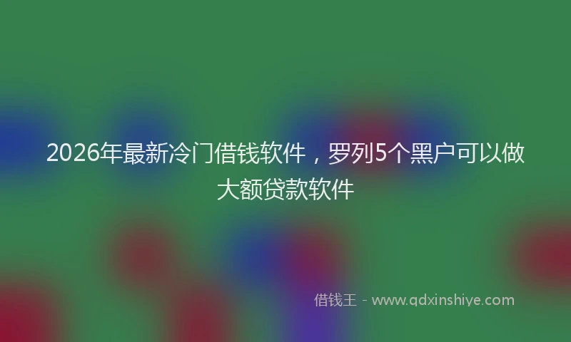 2026年最新冷门借钱软件,罗列5个黑户可以做大额贷款软件