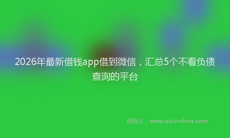 2026年最新借钱app借到微信,汇总5个不看负债查询的平台