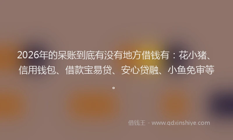 2026年的呆账到底有没有地方借钱有：花小猪、信用钱包、借款宝易贷、安心贷融、小鱼免审等。