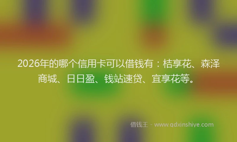 2026年的哪个信用卡可以借钱有：桔享花、森泽商城、日日盈、钱站速贷、宜享花等。