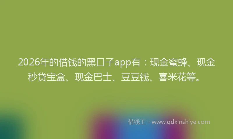 2026年的借钱的黑口子app有：现金蜜蜂、现金秒贷宝盒、现金巴士、豆豆钱、喜米花等。