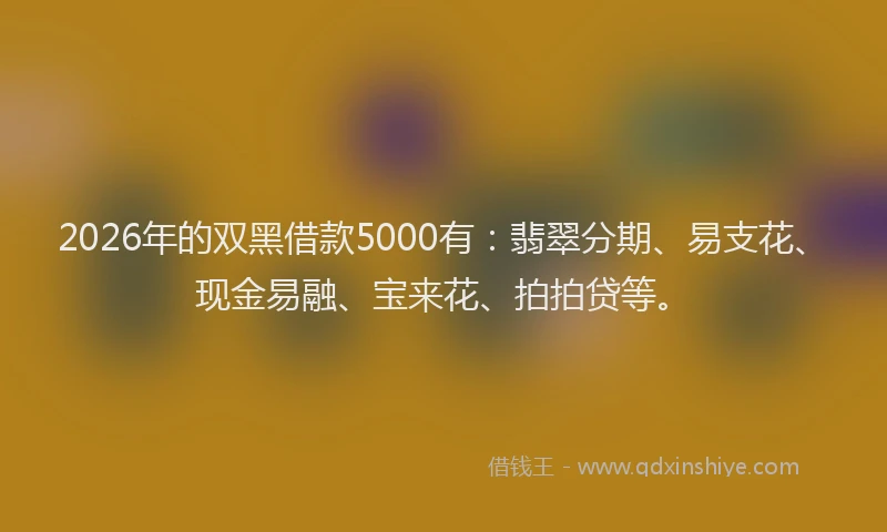 2026年的双黑借款5000有:翡翠分期、易支花、现金易融、宝来花、拍拍贷等。