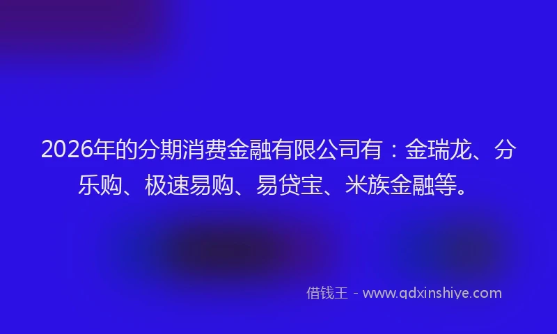 2026年的分期消费金融有限公司有：金瑞龙、分乐购、极速易购、易贷宝、米族金融等。
