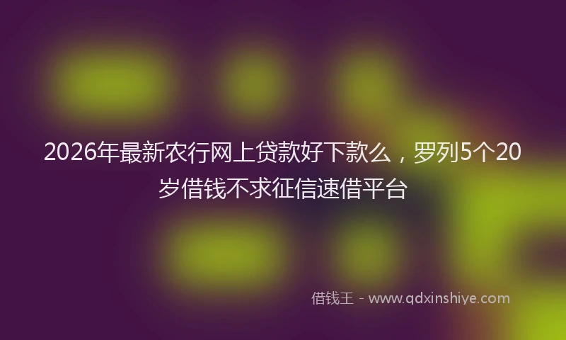2026年最新农行网上贷款好下款么,罗列5个20岁借钱不求征信速借平台