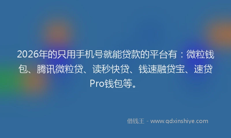 2026年的只用手机号就能贷款的平台有:微粒钱包、腾讯微粒贷、读秒快贷、钱速融贷宝、速贷Pro钱包等。