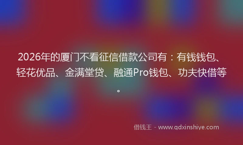 2026年的厦门不看征信借款公司有：有钱钱包、轻花优品、金满堂贷、融通Pro钱包、功夫快借等。