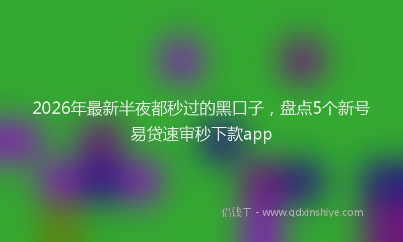 2026年最新半夜都秒过的黑口子，盘点5个新号易贷速审秒下款app