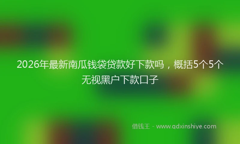 2026年最新南瓜钱袋贷款好下款吗,概括5个5个无视黑户下款口子