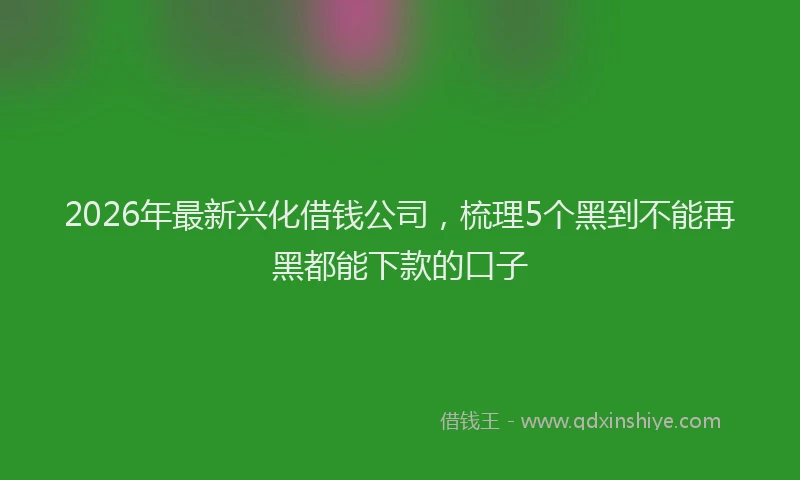 2026年最新兴化借钱公司，梳理5个黑到不能再黑都能下款的口子