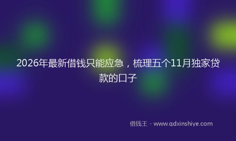 2026年最新借钱只能应急，梳理五个11月独家贷款的口子