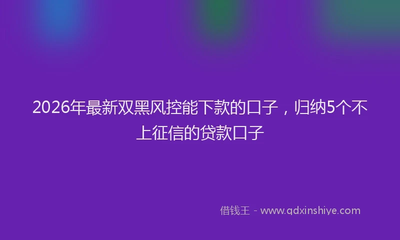 2026年最新双黑风控能下款的口子,归纳5个不上征信的贷款口子