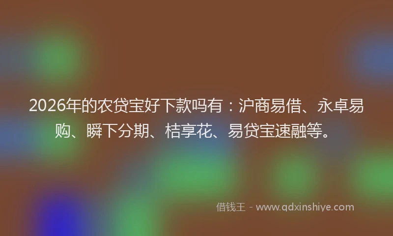 2026年的农贷宝好下款吗有：沪商易借、永卓易购、瞬下分期、桔享花、易贷宝速融等。