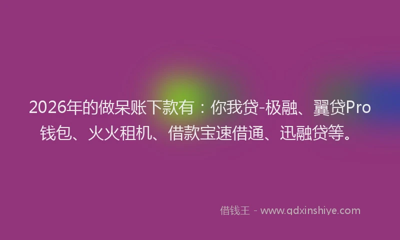 2026年的做呆账下款有：你我贷-极融、翼贷Pro钱包、火火租机、借款宝速借通、迅融贷等。