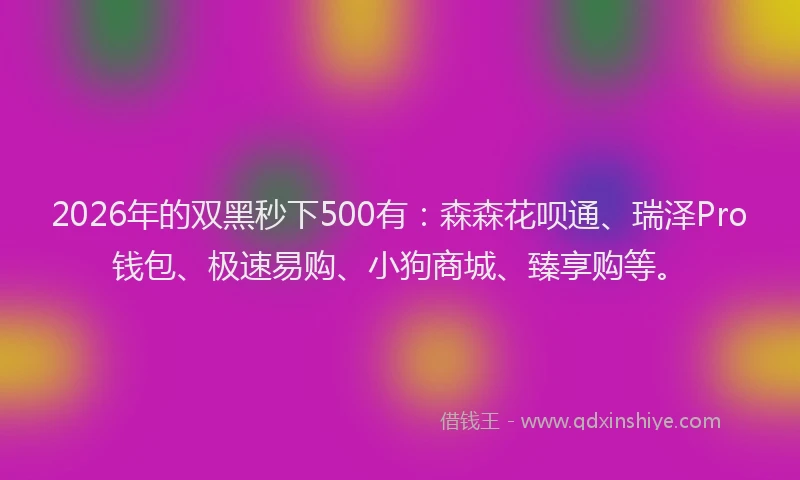 2026年的双黑秒下500有：森森花呗通、瑞泽Pro钱包、极速易购、小狗商城、臻享购等。