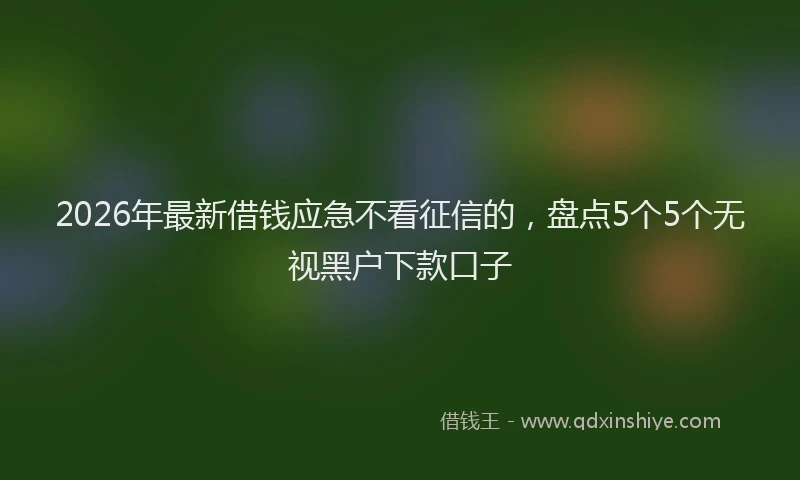 2026年最新借钱应急不看征信的,盘点5个5个无视黑户下款口子