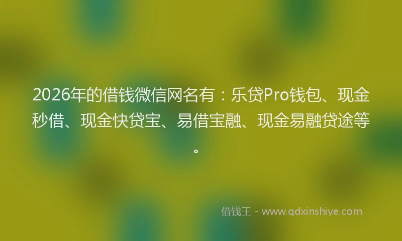 2026年的借钱微信网名有：乐贷Pro钱包、现金秒借、现金快贷宝、易借宝融、现金易融贷途等。