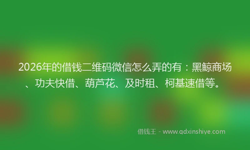 2026年的借钱二维码微信怎么弄的有:黑鲸商场、功夫快借、葫芦花、及时租、柯基速借等。