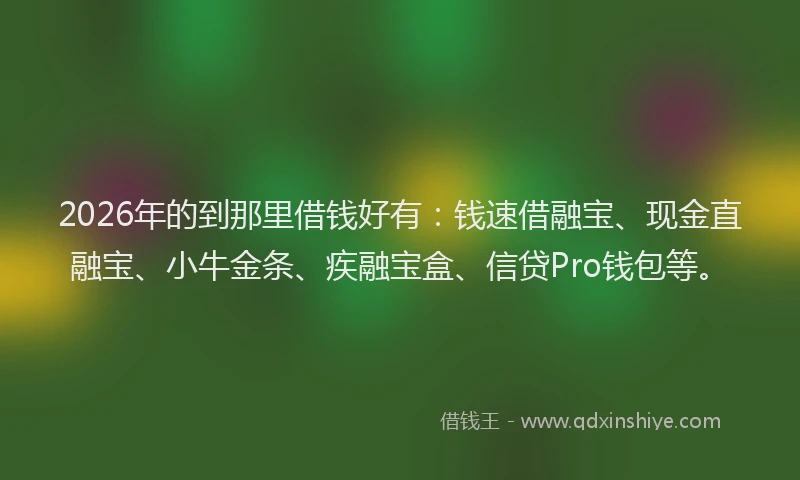 2026年的到那里借钱好有：钱速借融宝、现金直融宝、小牛金条、疾融宝盒、信贷Pro钱包等。