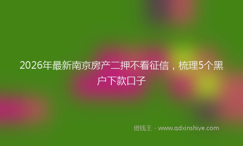 2026年最新南京房产二押不看征信，梳理5个黑户下款口子