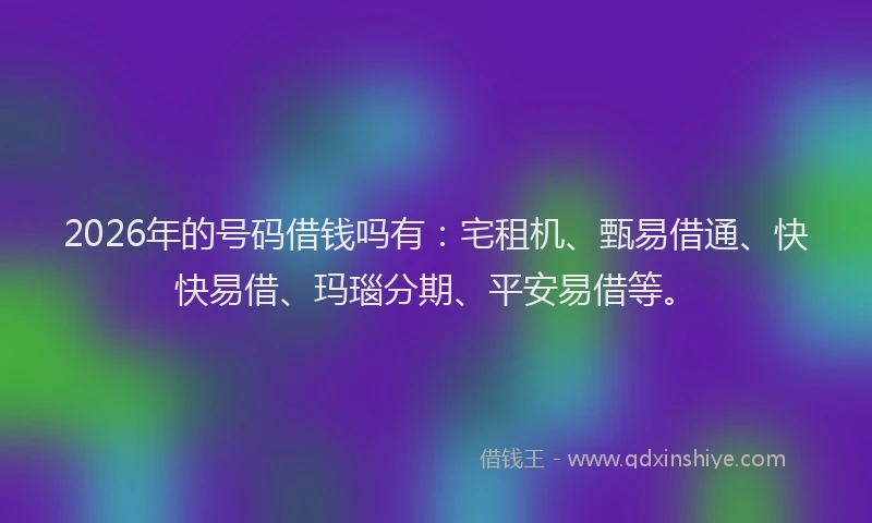 2026年的号码借钱吗有：宅租机、甄易借通、快快易借、玛瑙分期、平安易借等。
