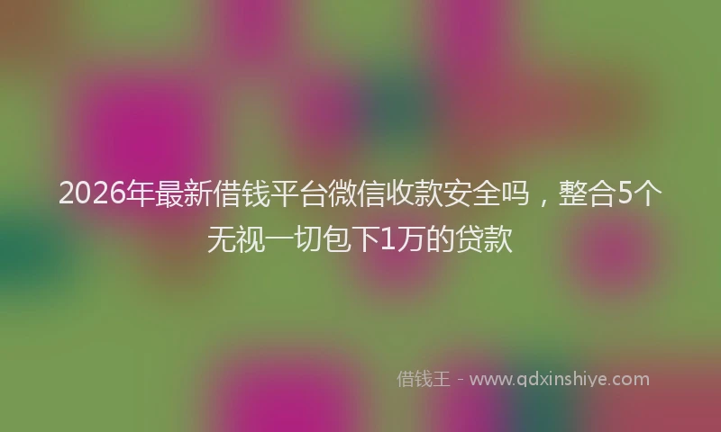 2026年最新借钱平台微信收款安全吗,整合5个无视一切包下1万的贷款