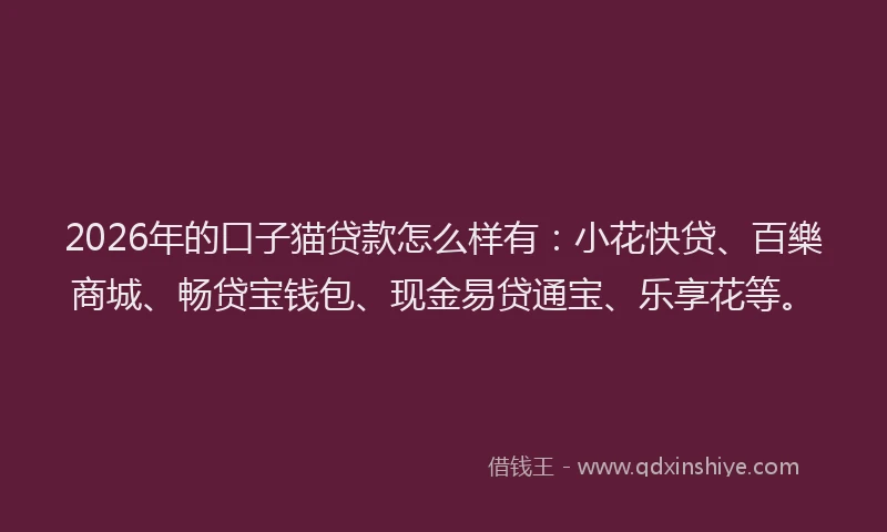 2026年的口子猫贷款怎么样有：小花快贷、百樂商城、畅贷宝钱包、现金易贷通宝、乐享花等。