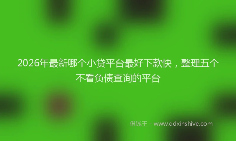 2026年最新哪个小贷平台最好下款快，整理五个不看负债查询的平台