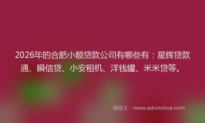 2026年的合肥小额贷款公司有哪些有:星辉贷款通、瞬信贷、小安租机、洋钱罐、米米贷等。