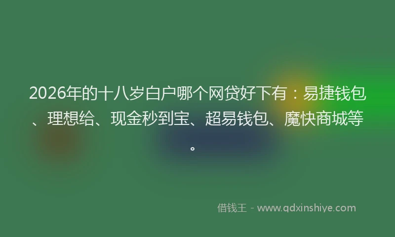 2026年的十八岁白户哪个网贷好下有:易捷钱包、理想给、现金秒到宝、超易钱包、魔快商城等。
