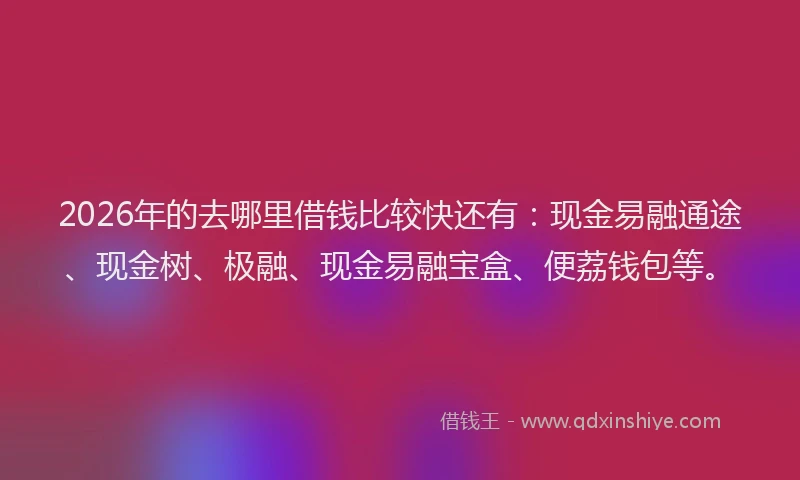 2026年的去哪里借钱比较快还有：现金易融通途、现金树、极融、现金易融宝盒、便荔钱包等。