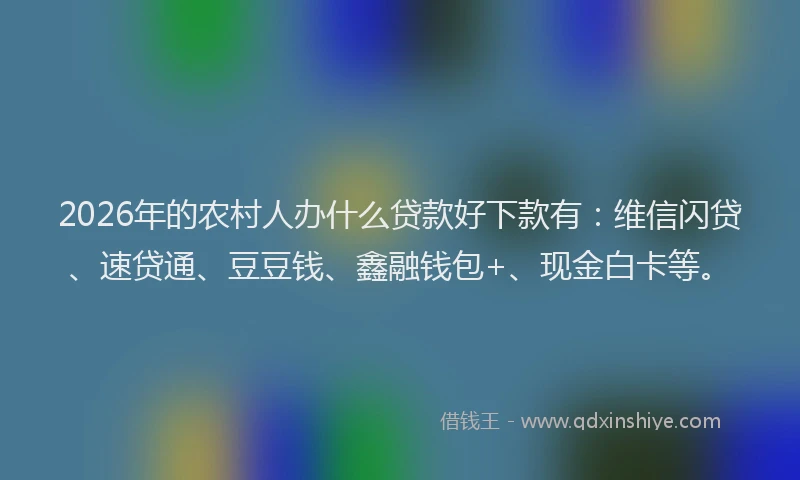 2026年的农村人办什么贷款好下款有：维信闪贷、速贷通、豆豆钱、鑫融钱包+、现金白卡等。