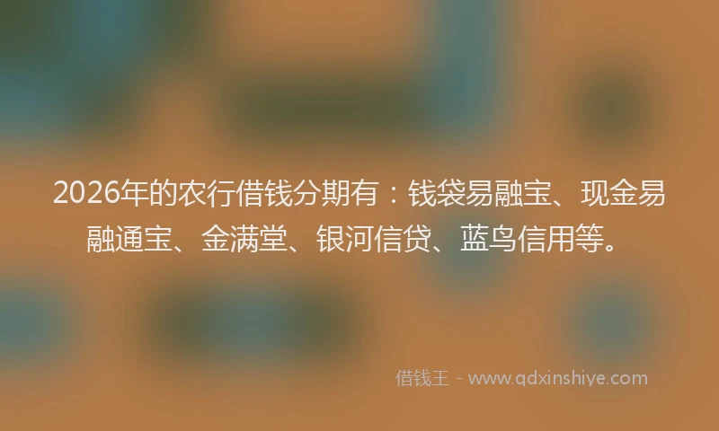 2026年的农行借钱分期有:钱袋易融宝、现金易融通宝、金满堂、银河信贷、蓝鸟信用等。