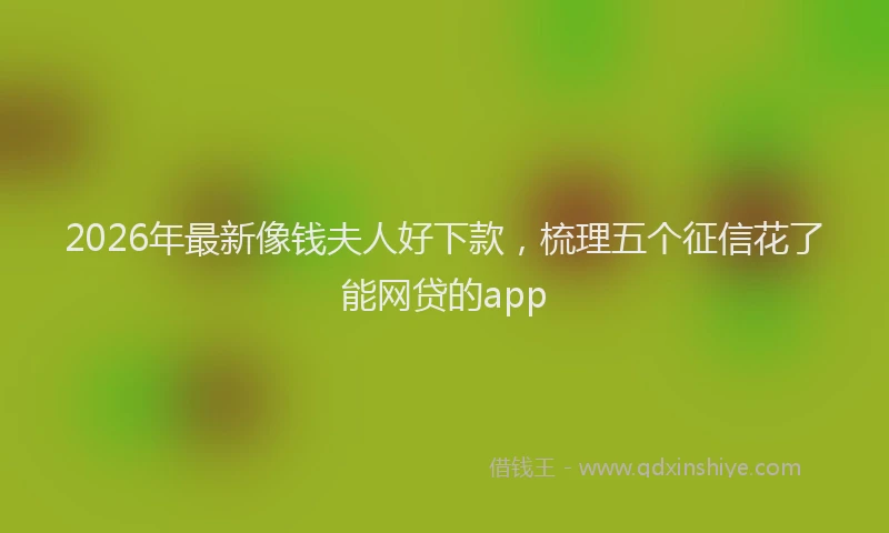 2026年最新像钱夫人好下款，梳理五个征信花了能网贷的app